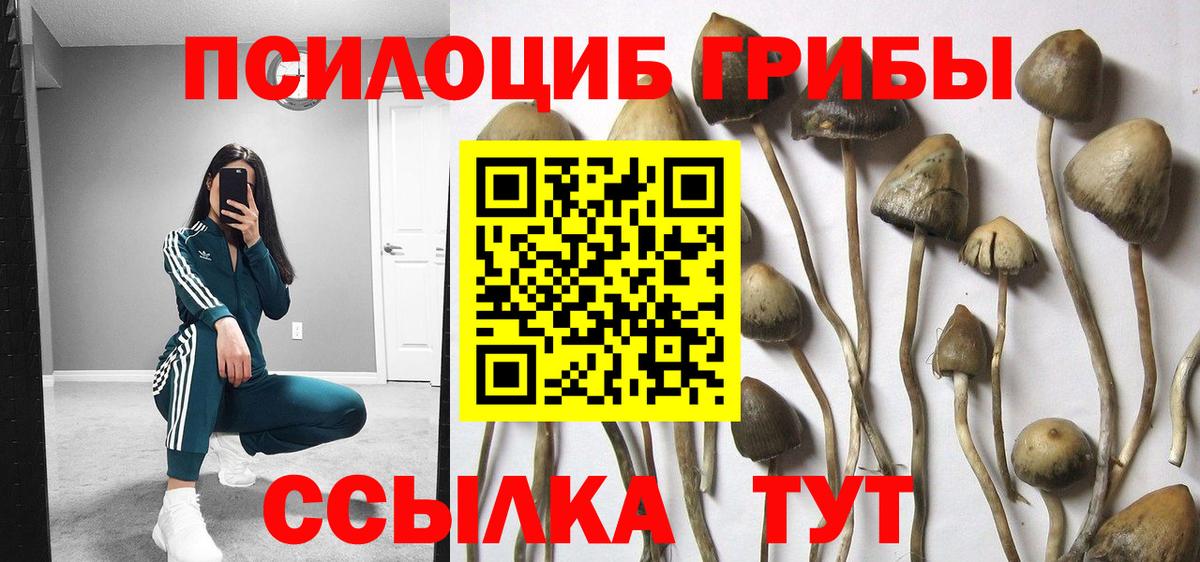 Галлюциногенные грибы ЛСД Карасук