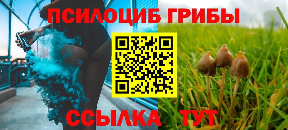 закладки  Галлюциногенные грибы Cubensis  Вход с VPN  Карасук  Псилоцибиновые грибы мицелий 